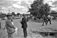 FERIA DEL GANADO (Chile)